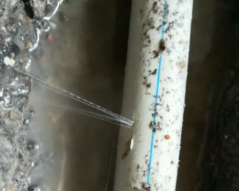 白玉卫生间测漏水多少钱