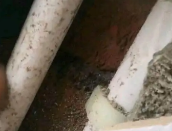 白玉卫生间测漏水哪家好