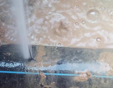 白玉卫生间防水哪家好